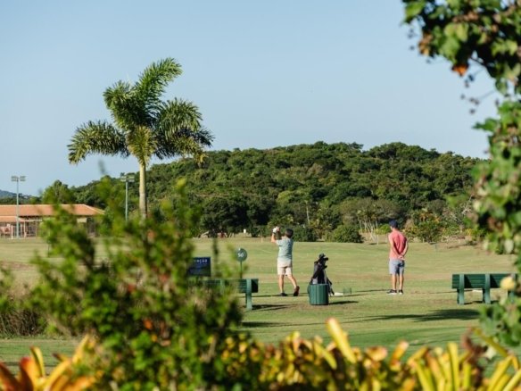 Dois jogadores de golfe no tee, com palmeiras e o morro ao fundo, vistos por entre plantas (foto real)