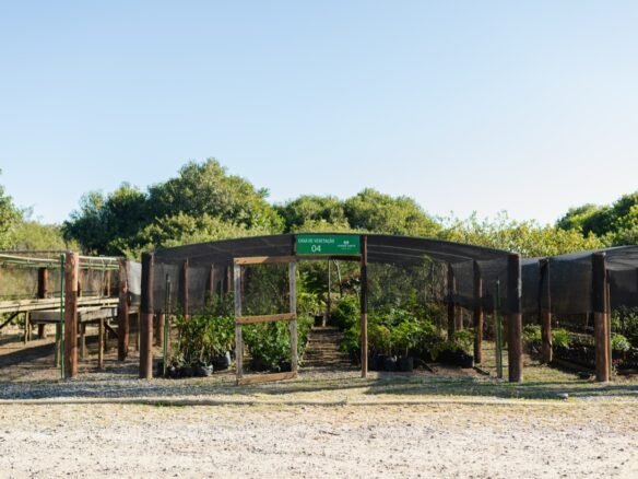 Casa de Vegetação 04 do Viveiro Aretê Búzios, com mudas sob cobertura e vegetação ao redor