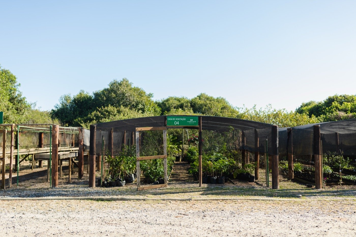 Casa de Vegetação 04 do Viveiro Aretê Búzios, com mudas sob cobertura e vegetação ao redor