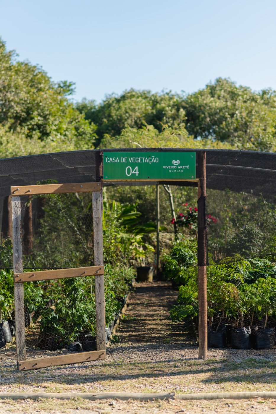 Mudas organizadas sob a cobertura da Casa de Vegetação 04 do Viveiro Aretê